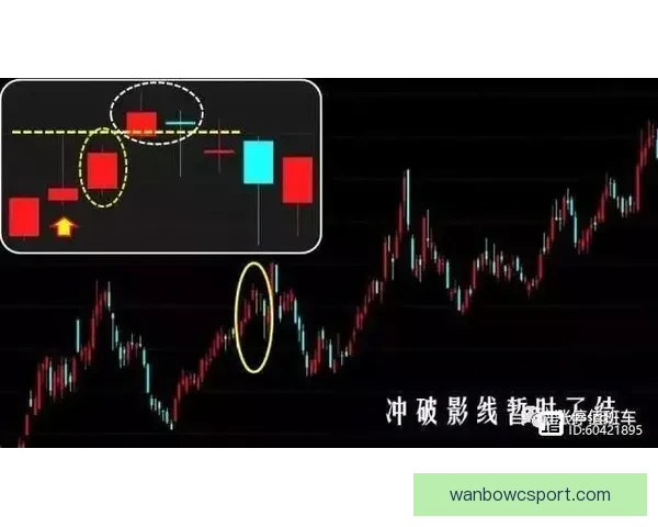 世界杯竞猜盘口分析与预测技巧 轻松把握赛前投注机会
