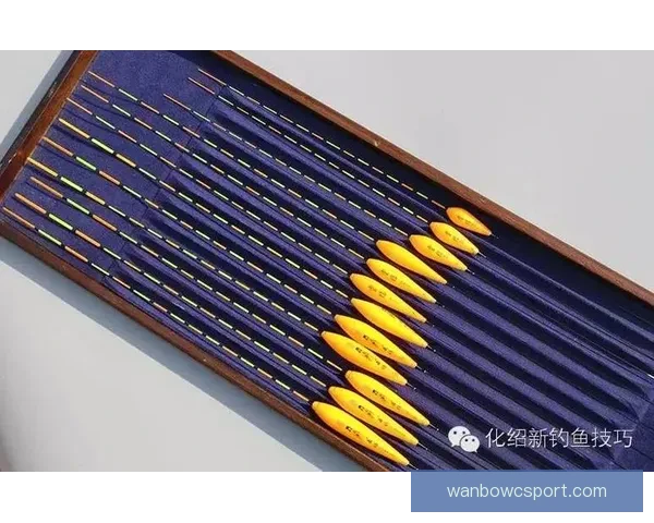 体育竞猜预测秘籍解析 精准分析技巧助你提升赢率